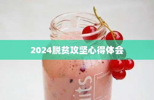 2024脱贫攻坚心得体会