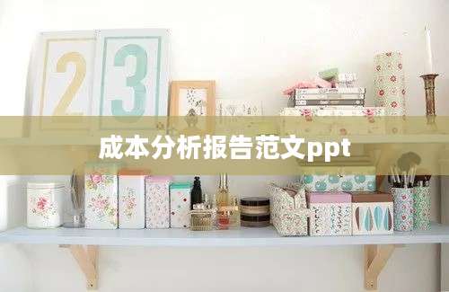 成本分析报告范文ppt