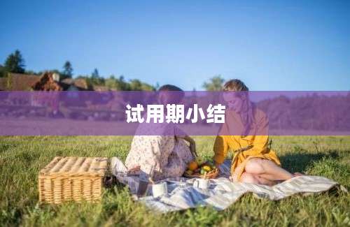 试用期小结