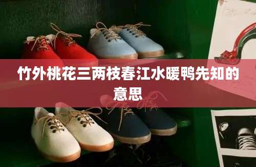 竹外桃花三两枝春江水暖鸭先知的意思