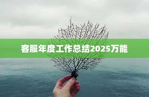 客服年度工作总结2025万能