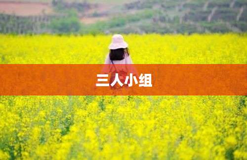 三人小组