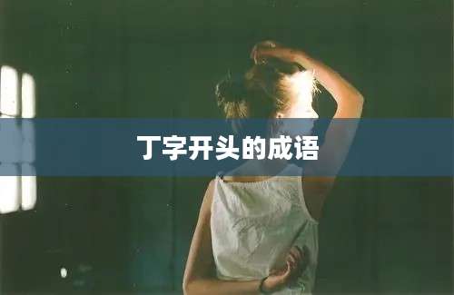 丁字开头的成语