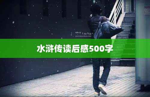 水浒传读后感500字