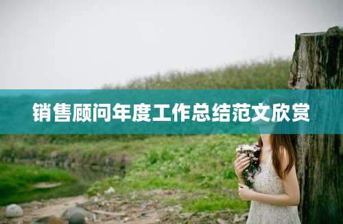 销售顾问年度工作总结范文欣赏