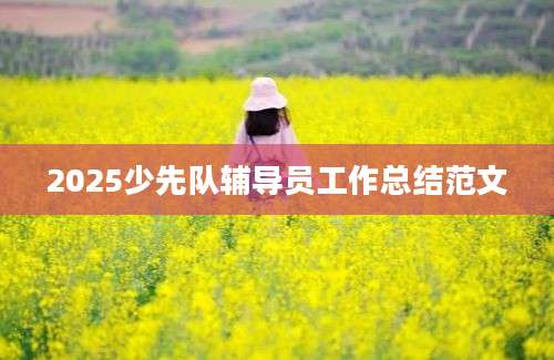 2025少先队辅导员工作总结范文