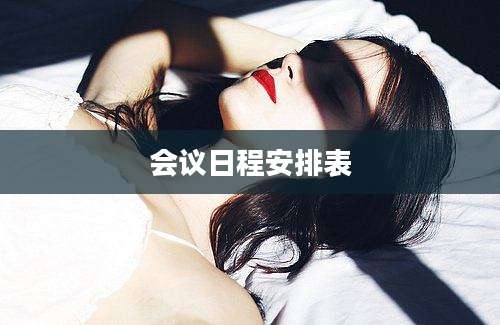 会议日程安排表