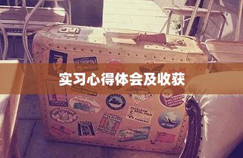 实习心得体会及收获