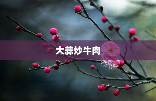 大蒜炒牛肉