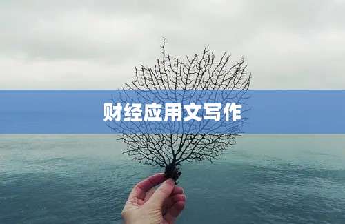 财经应用文写作