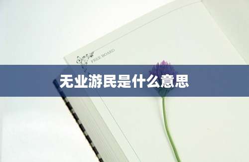 无业游民是什么意思