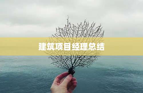 建筑项目经理总结