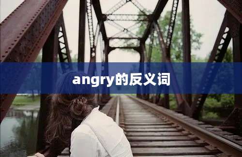 angry的反义词