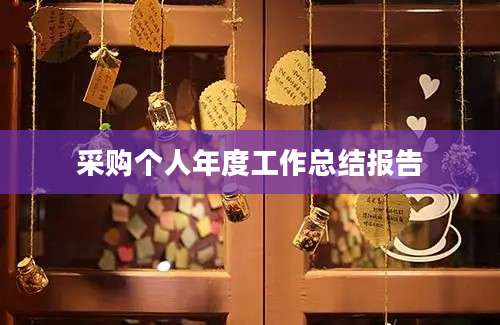 采购个人年度工作总结报告