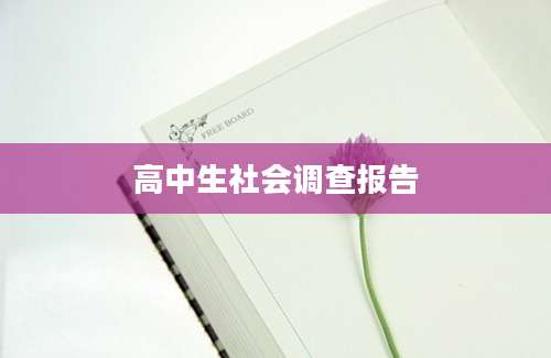 高中生社会调查报告