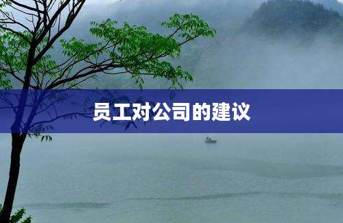 员工对公司的建议