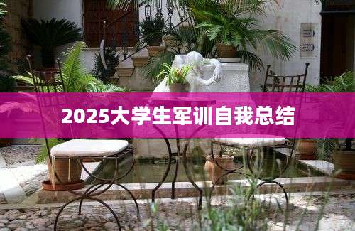 2025大学生军训自我总结
