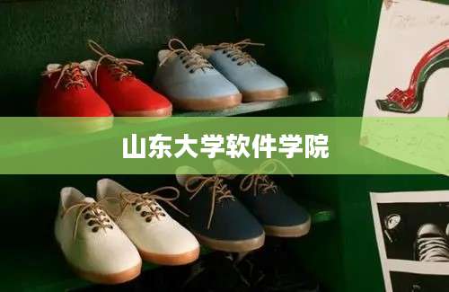 山东大学软件学院
