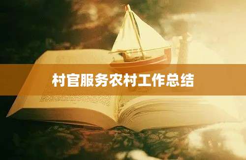 村官服务农村工作总结