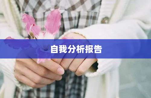 自我分析报告