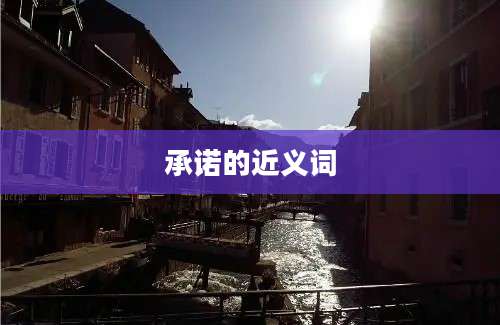 承诺的近义词