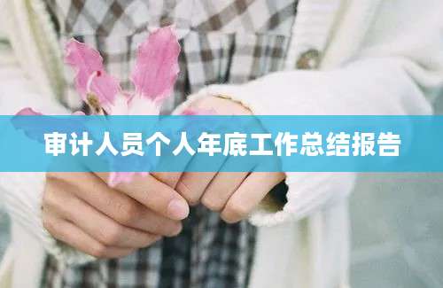 审计人员个人年底工作总结报告