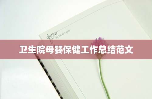 卫生院母婴保健工作总结范文