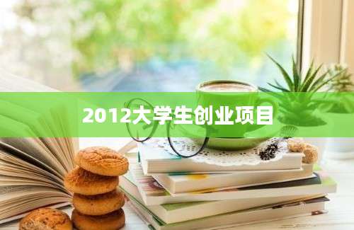 2012大学生创业项目