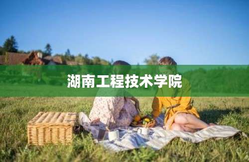 湖南工程技术学院