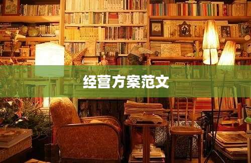 经营方案范文