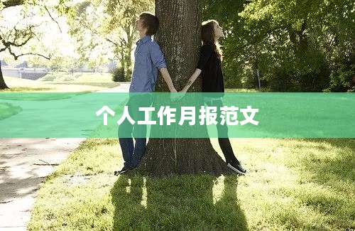 个人工作月报范文