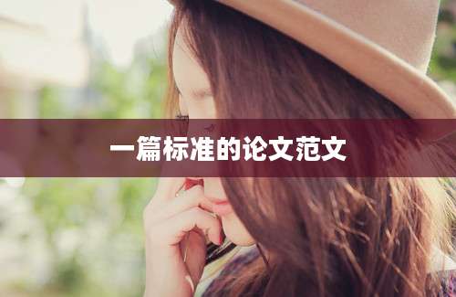 一篇标准的论文范文
