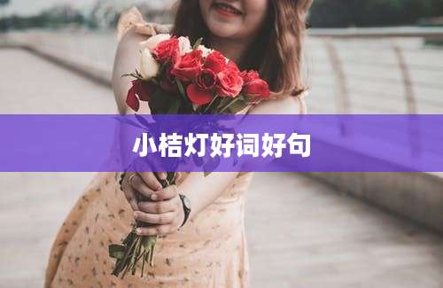 小桔灯好词好句