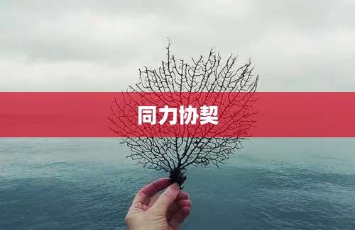 同力协契
