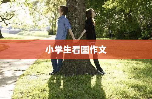 小学生看图作文