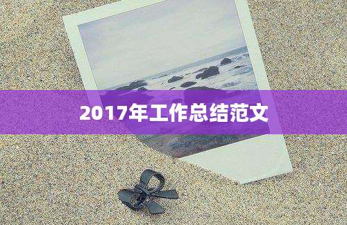 2017年工作总结范文