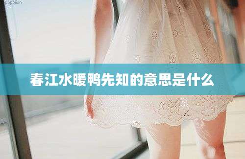 春江水暖鸭先知的意思是什么