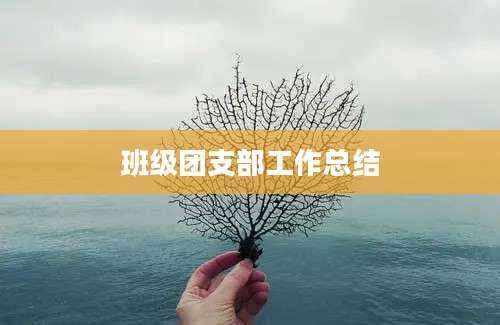 班级团支部工作总结