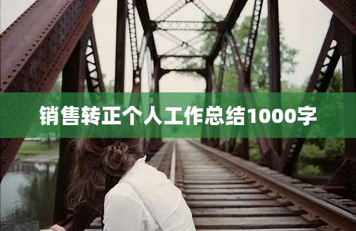 销售转正个人工作总结1000字