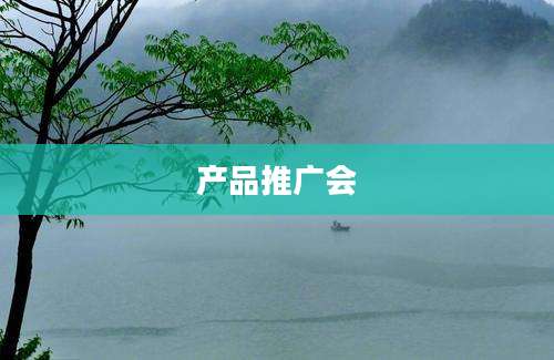 产品推广会