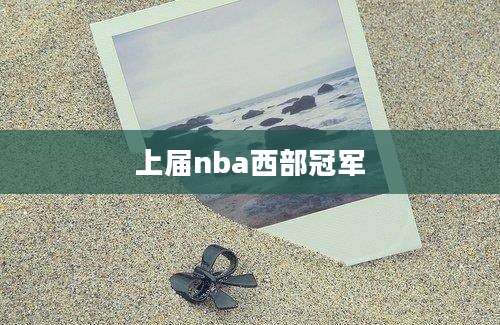 上届nba西部冠军