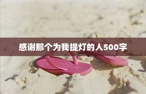 感谢那个为我提灯的人500字