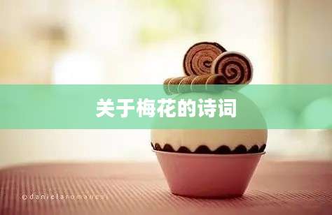 关于梅花的诗词