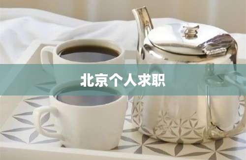 北京个人求职