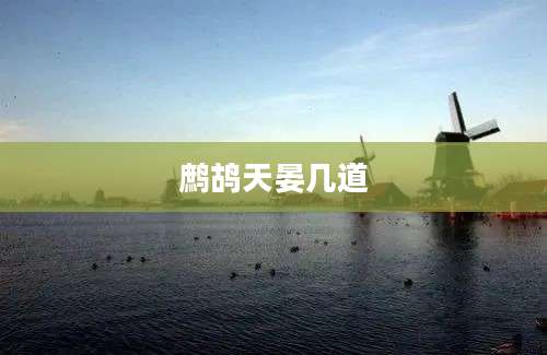 鹧鸪天晏几道