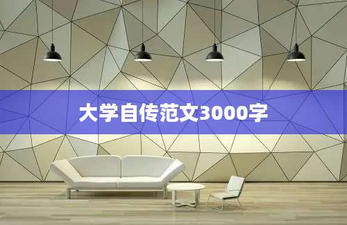 大学自传范文3000字