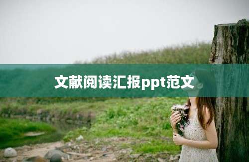 文献阅读汇报ppt范文