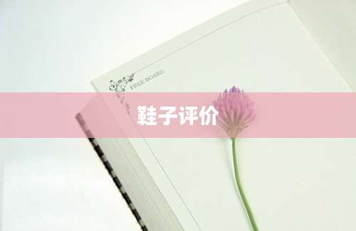 鞋子评价