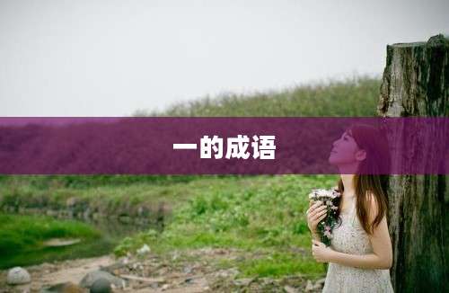 一的成语