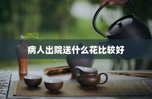 病人出院送什么花比较好